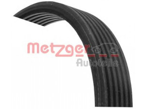 METZGER 6DPK1320 V formos rumbuoti diržai 
 Techninės priežiūros dalys -> Techninės priežiūros intervalai
1111242, 022145933G, 066145933J