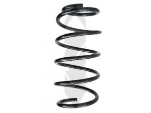 SPIDAN 48468 spyruoklė 
 Pakaba -> Spyruoklės
31 33 1 137 954