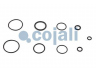 COJALI 6032129 remonto komplektas, sankabos stiprintuvas