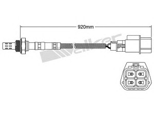 WALKER PRODUCTS 250-24284 lambda jutiklis 
 Variklis -> Variklio elektra
226A1 4L715