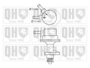 QUINTON HAZELL QFP133 kuro siurblys 
 Degalų tiekimo sistema -> Kuro siurblys/dalys -> Kuro siurblys
002 091 1101, 002 091 6501