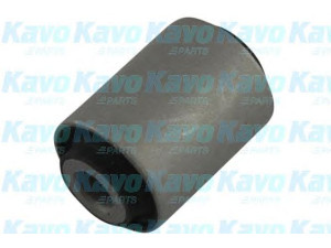 KAVO PARTS SCR-8019 valdymo svirties/išilginių svirčių įvorė 
 Ašies montavimas/vairavimo mechanizmas/ratai -> Valdymo svirtis/pasukamosios svirties sujungimas -> Montavimas/sutvirtinimas
20201FC020