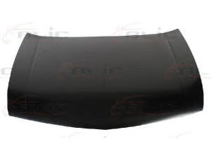 BLIC 6803-00-2927282P gaubtas 
 Kėbulas -> Transporto priemonės galas -> Gaubtas/dalys/garso izoliacinė medžiaga
60100TL0G00