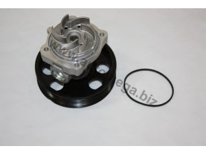 AUTOMEGA 3013340207 vandens siurblys
1201L9, 46815125, 1538706, 9S518501BA