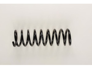 BILSTEIN 36-129348 spyruoklė 
 Pakaba -> Spyruoklės
1 131 805, 33 53 1 131 805