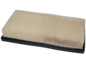 MEAT & DORIA 16600 oro filtras 
 Filtrai -> Oro filtras
RF0323603, RF7113Z00, RF7113Z40