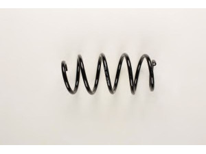 BILSTEIN 36-199631 spyruoklė 
 Pakaba -> Spyruoklės
1K0 411 105 DD