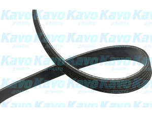 KAVO PARTS DMV-9006 V formos rumbuoti diržai 
 Techninės priežiūros dalys -> Techninės priežiūros intervalai
9091602310, 9091602540, XS6E6C301JB