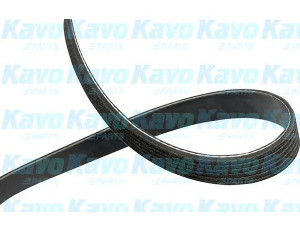 KAVO PARTS DMV-5530 V formos rumbuoti diržai 
 Techninės priežiūros dalys -> Techninės priežiūros intervalai
1014374, 1079384, 1131960, 4451A020