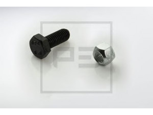 PE Automotive 066.038-00A varžtas
3 341 1023 19