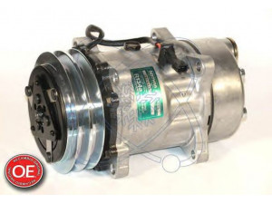 ELECTRO AUTO 20A8095 kompresorius, oro kondicionierius 
 Oro kondicionavimas -> Kompresorius/dalys
5001854372, 5010240457, 5010483009
