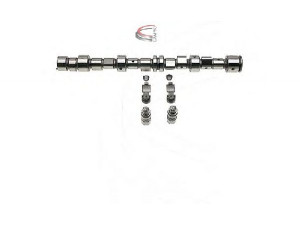 CAMPRO CP62262 skirstomojo veleno komplektas 
 Variklis -> Variklio uždegimo laiko reguliavimo kontrolė -> Skirstomasis velenas
636 149, 90297711, 90324522