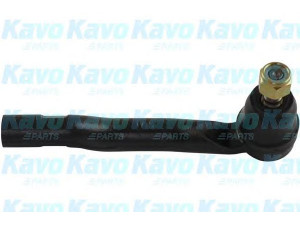 KAVO PARTS STE-9061 skersinės vairo trauklės galas 
 Vairavimas -> Vairo mechanizmo sujungimai
4546019235, 4546029365