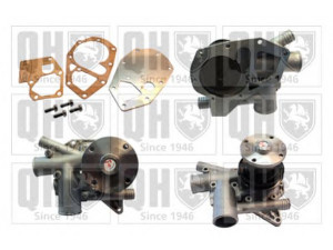 QUINTON HAZELL QCP539F vandens siurblys 
 Aušinimo sistema -> Vandens siurblys/tarpiklis -> Vandens siurblys
7701452782