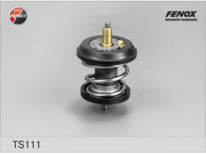 FENOX TS111 termostatas, aušinimo skystis 
 Aušinimo sistema -> Termostatas/tarpiklis -> Thermostat
06H121113B, 06H121113BS1, 06H121113B