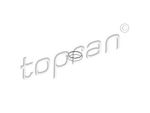 TOPRAN 501 271 tarpiklis, įsiurbimo kolektorius 
 Variklis -> Cilindrų galvutė/dalys -> Įsiurbimo kolektoriaus tarpiklis/sandarinimo žiedas
1161 2 246 945, 2 246 945