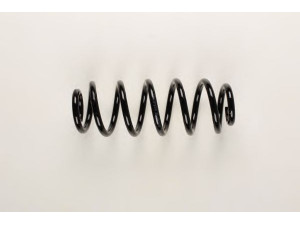 BILSTEIN 36-233175 spyruoklė 
 Pakaba -> Spyruoklės
4D0 411 105 DD, 4D0 411 105 DJ