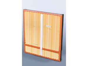 FLEETGUARD AF27816 oro filtras 
 Filtrai -> Oro filtras
30949004, 40941104, 40946604, A0030949004