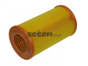 PURFLUX A1009 oro filtras 
 Filtrai -> Oro filtras
1960332, 19603323, J1321034, 165463S903