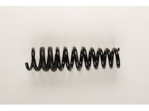 BILSTEIN 36-134335 spyruoklė 
 Pakaba -> Spyruoklės
A 163 320 23 13, A 163 320 24 13