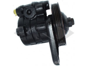 SPIDAN 53910 hidraulinis siurblys, vairo sistema 
 Vairavimas -> Vairo pavara/siurblys