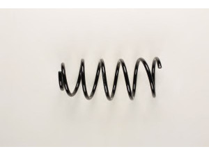 BILSTEIN 36-201907 spyruoklė 
 Pakaba -> Spyruoklės
1J0 411 105 BH