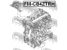 FEBEST FM-CB4ZTRH variklio montavimas
1430067, 31316449