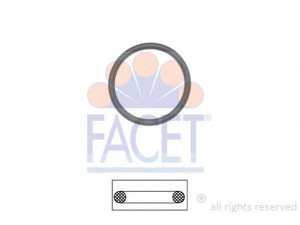 FACET 7.9660 tarpiklis, termostatas 
 Variklis -> Tarpikliai -> Sandarikliai, aušinimo sistema
1 089 789, 03C 121 119, 03C 121 119 H