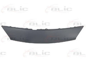 BLIC 6502-07-6039210P dangtis, radiatoriaus grotelės
7701474778