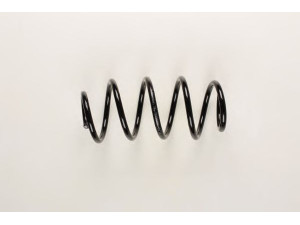 BILSTEIN 36-202287 spyruoklė 
 Pakaba -> Spyruoklės
1K0 411 105 DL, 1K0 411 105 DM