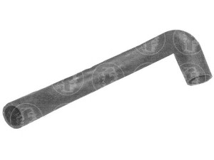 FARE SA 8957 radiatoriaus žarna 
 Aušinimo sistema -> Žarnelės/vamzdeliai/sujungimai -> Radiatoriaus žarnos
1037314, 96FB8B273CD