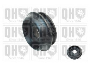 QUINTON HAZELL EMR6007 pakabos statramsčio atraminis guolis 
 Ašies montavimas/vairavimo mechanizmas/ratai -> Montavimas, pakabos statramstis
7700827436