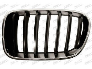 PRASCO BM8042004 radiatorius grotelės 
 Kėbulas -> Kėbulo dalys/ sparnas/buferis -> Priekinis aerodinaminio pasipriešinimo sumažinimas/grotelės
51117510725