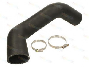 THERMOTEC DCG111TT kompresoriaus padavimo žarna 
 Išmetimo sistema -> Turbokompresorius
1 565 540, 1565540