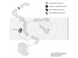 BORG & BECK BTH1134 kompresoriaus padavimo žarna 
 Išmetimo sistema -> Turbokompresorius
1J0145834AB, 1J0145834AB, 1J0145834AB