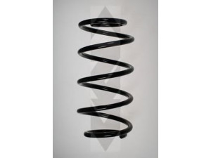 SPIDAN 56043 spyruoklė 
 Pakaba -> Spyruoklės
312 801