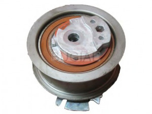 BUGIAD BSP23198 įtempiklio skriemulys, paskirstymo diržas 
 Techninės priežiūros dalys -> Papildomas remontas
03L 109 243 B, 03L 109 243 F