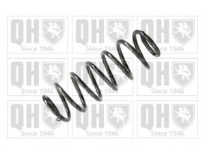 QUINTON HAZELL QCS8099 spyruoklė 
 Pakaba -> Spyruoklės
6Q0 511 115 CK