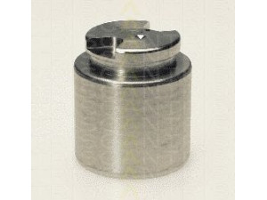 TRISCAN 8170 231586 stūmoklis, stabdžių apkaba