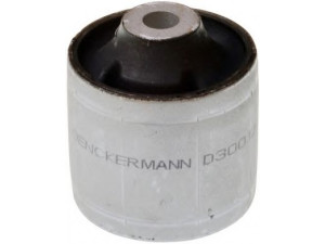 DENCKERMANN D300128 valdymo svirties/išilginių svirčių įvorė 
 Ašies montavimas/vairavimo mechanizmas/ratai -> Valdymo svirtis/pasukamosios svirties sujungimas -> Montavimas/sutvirtinimas
4F0 407 183 A, 4F0 407 183 B, 4F0 407 183 E
