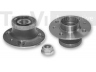 TREVI AUTOMOTIVE WB1354 rato guolio komplektas 
 Ašies montavimas/vairavimo mechanizmas/ratai -> Rato stebulė/montavimas -> Rato guolis
7700780921, 7701204665, 7701204666
