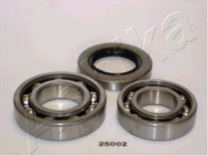 ASHIKA 44-25002 rato guolio komplektas 
 Ašies montavimas/vairavimo mechanizmas/ratai -> Rato stebulė/montavimas -> Rato guolis
MB290585, MD716594