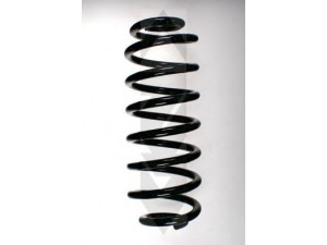 SPIDAN 55101 spyruoklė 
 Pakaba -> Spyruoklės
33 53 1 093 941