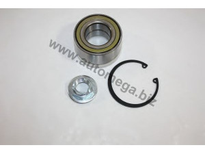 AUTOMEGA 30104840269 rato guolio komplektas
1484269