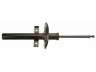 amortizatorius