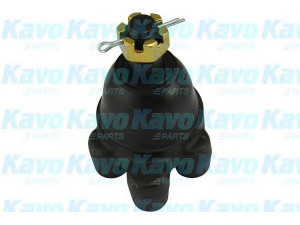 KAVO PARTS SBJ-5503 atramos/vairo trauklė 
 Ašies montavimas/vairavimo mechanizmas/ratai -> Sujungimai -> Atramos/vairo trauklė
5441743000, 5441743001, 5441743A00