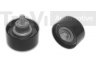 TREVI AUTOMOTIVE TD1752 kreipiantysis skriemulys, paskirstymo diržas 
 Diržinė pavara -> Paskirstymo diržas/komplektas -> Laisvasis/kreipiamasis skriemulys
481H1007070BA