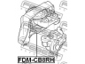 FEBEST FDM-CB8RH variklio montavimas
1543750