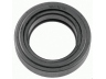 SACHS 1863 101 100 sankabos paleidiklis
1271902, 1271902, 01271902/U-E