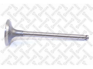 STELLOX 01-24132-SX išleidimo vožtuvas 
 Variklis -> Variklio uždegimo laiko reguliavimo kontrolė -> Vožtuvų eilė -> Vožtuvai/dalys
MD139755